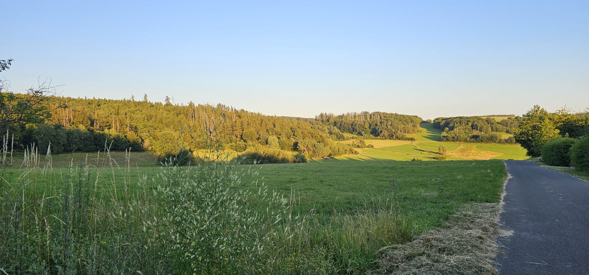 Glooiend landschap van het Kellerwald in de avondzon