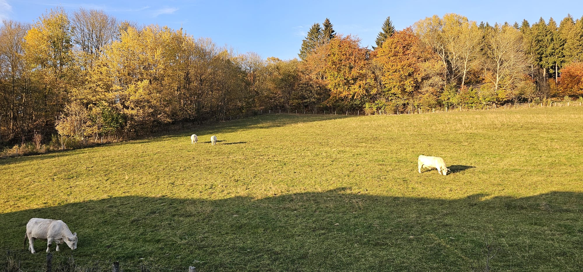 Herfstuitzicht