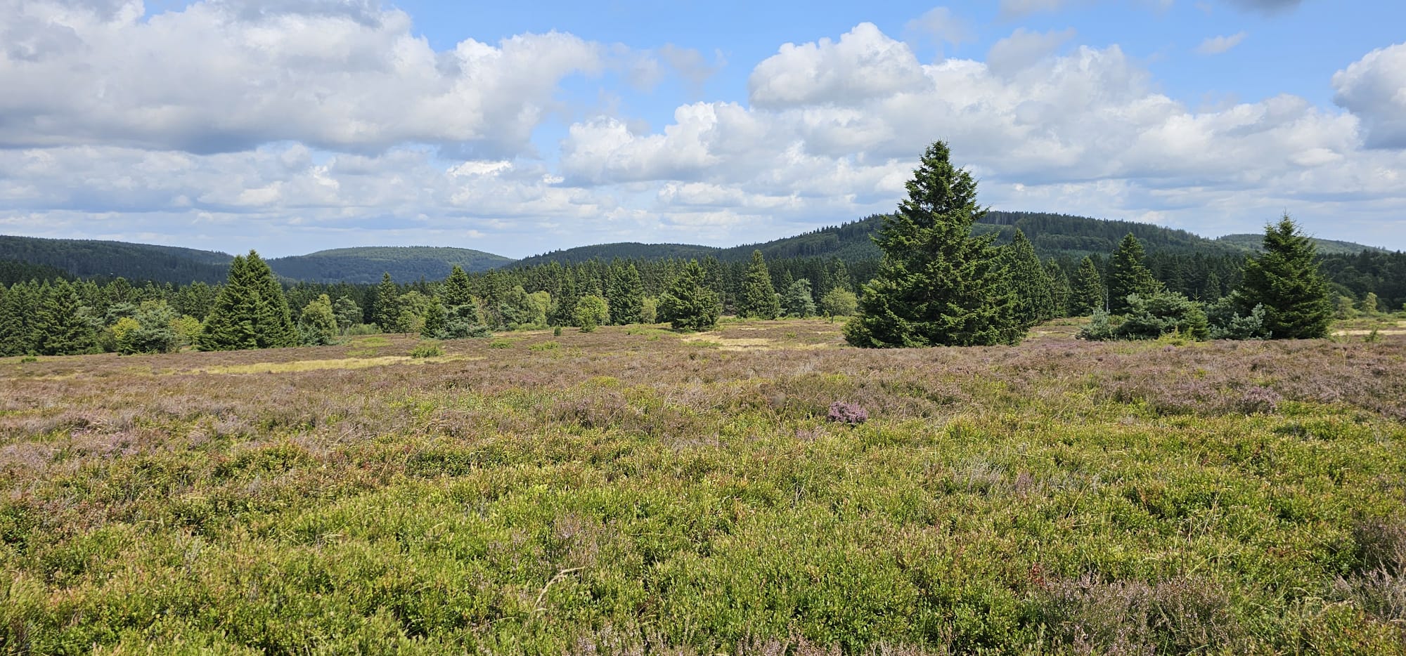 Hochheide